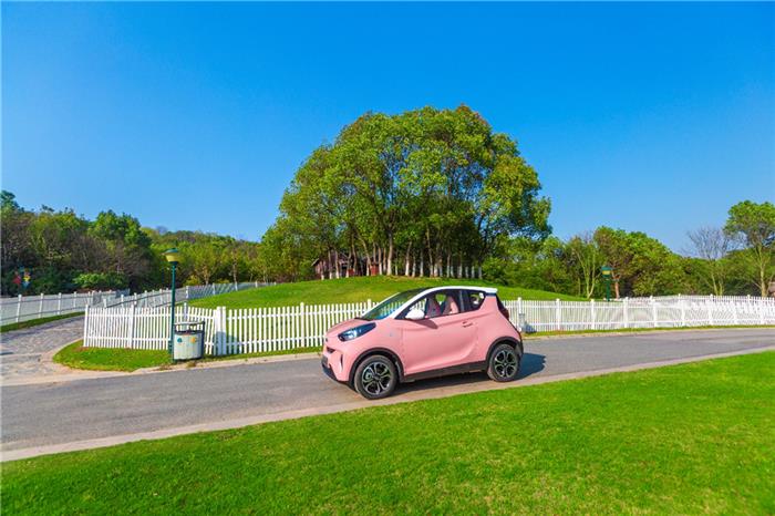 1588225814198763.jpg 13.jpg