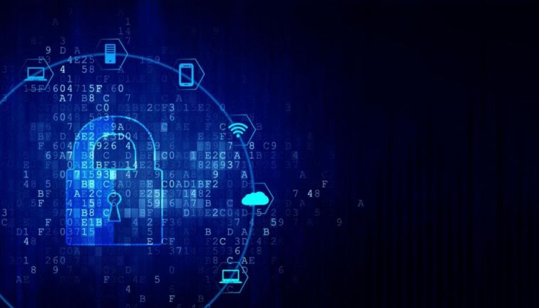 1680234152465840.jpg 3.jpg