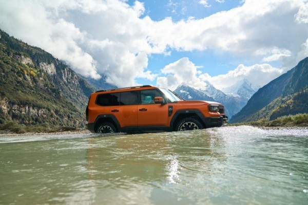 1763170004791323.jpg 2.jpg