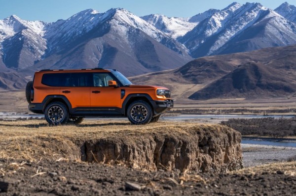 1771228862546751.jpg 11.jpg