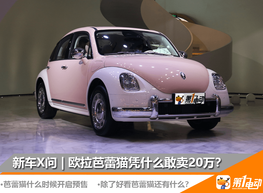 欧拉芭蕾猫凭什么敢卖20万？除了好看还有什么